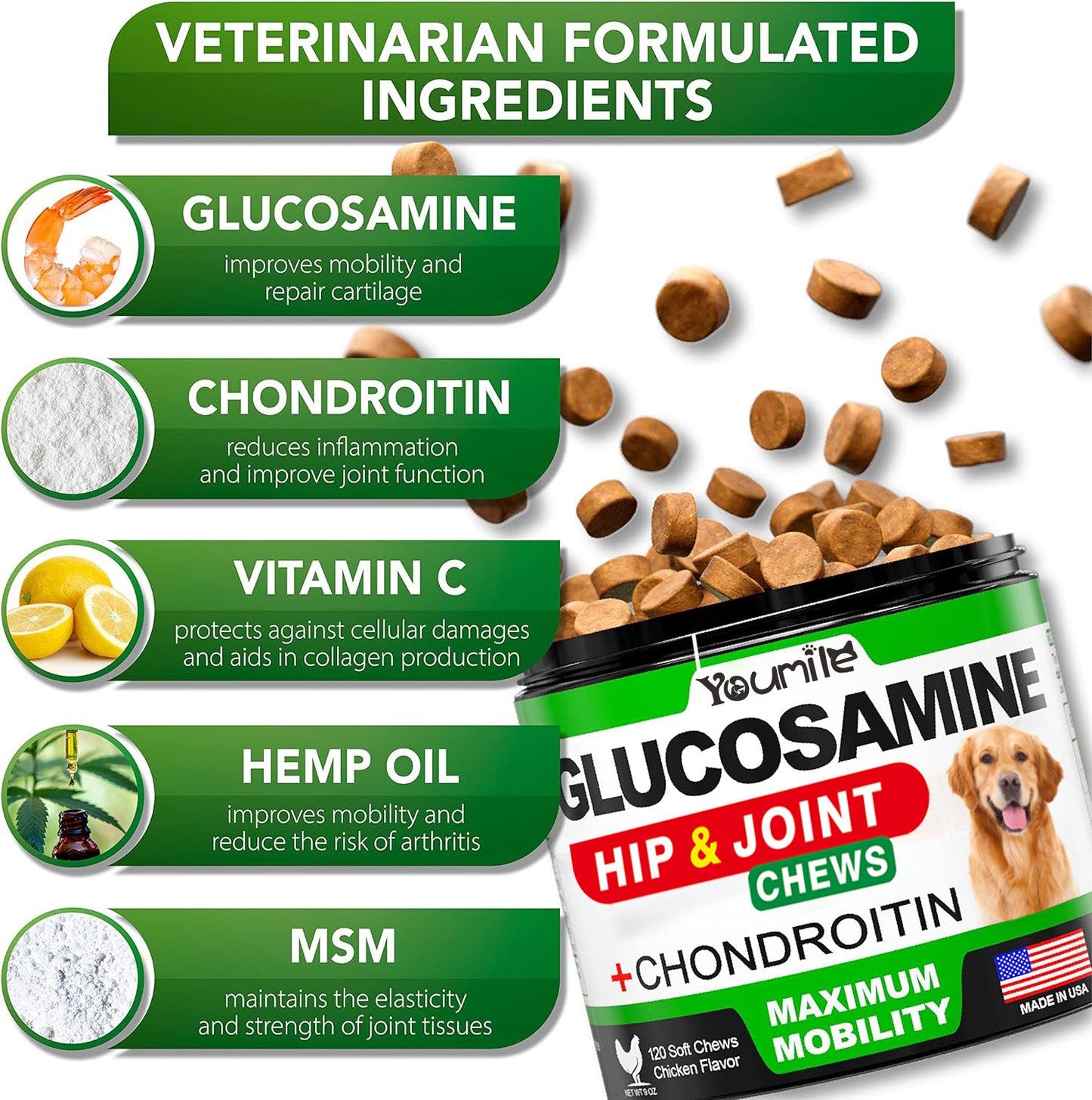 Pet Hip & Joint Supplement Chondroitin for Dogs Mobility Support
