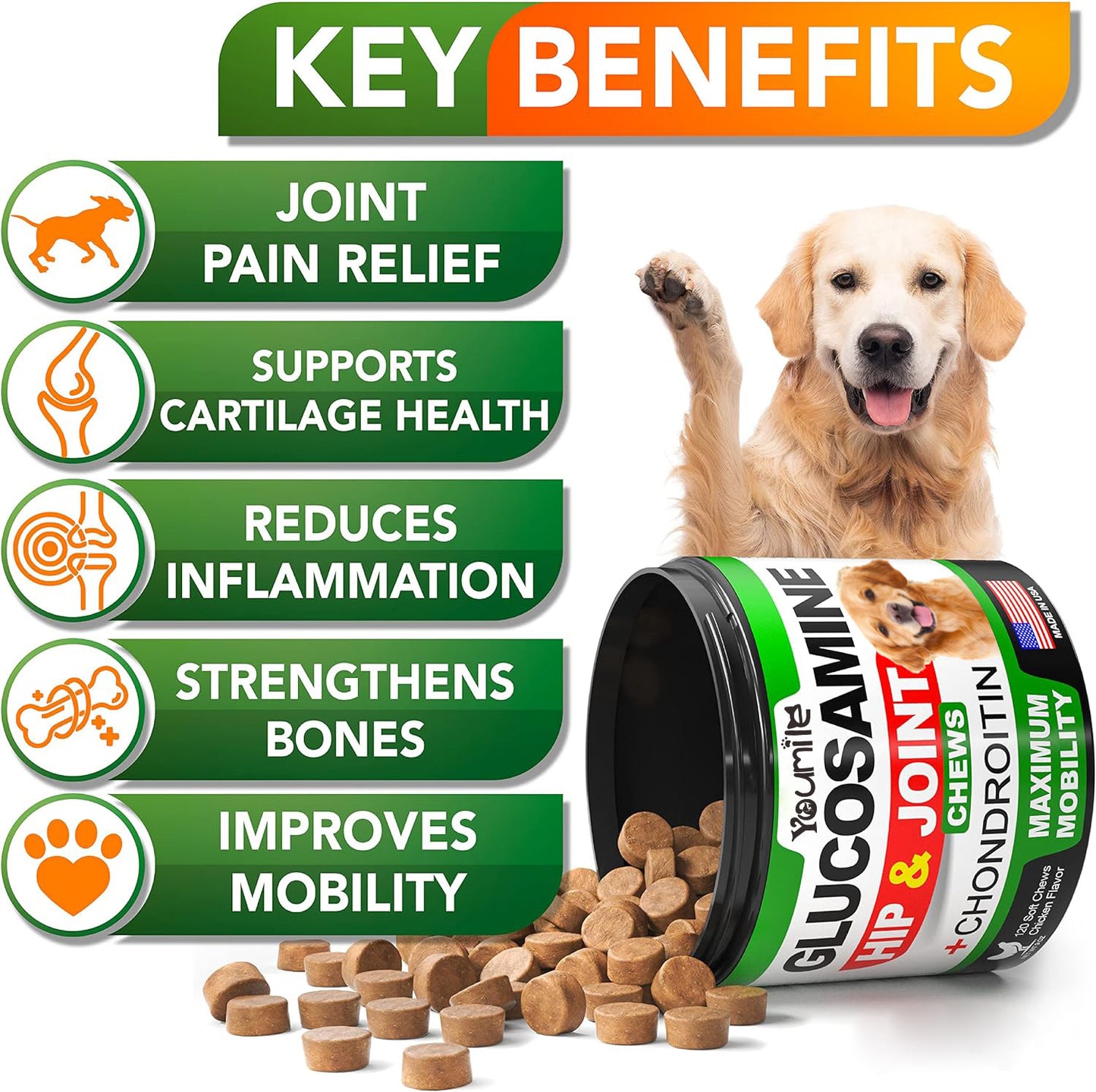 Pet Hip & Joint Supplement Chondroitin for Dogs Mobility Support