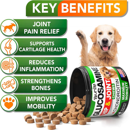 Pet Hip & Joint Supplement Chondroitin for Dogs Mobility Support