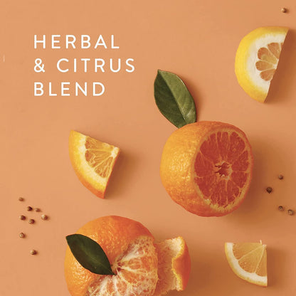 Petite Reed Diffuser - 4 Fl Oz - Mandarin Coriander