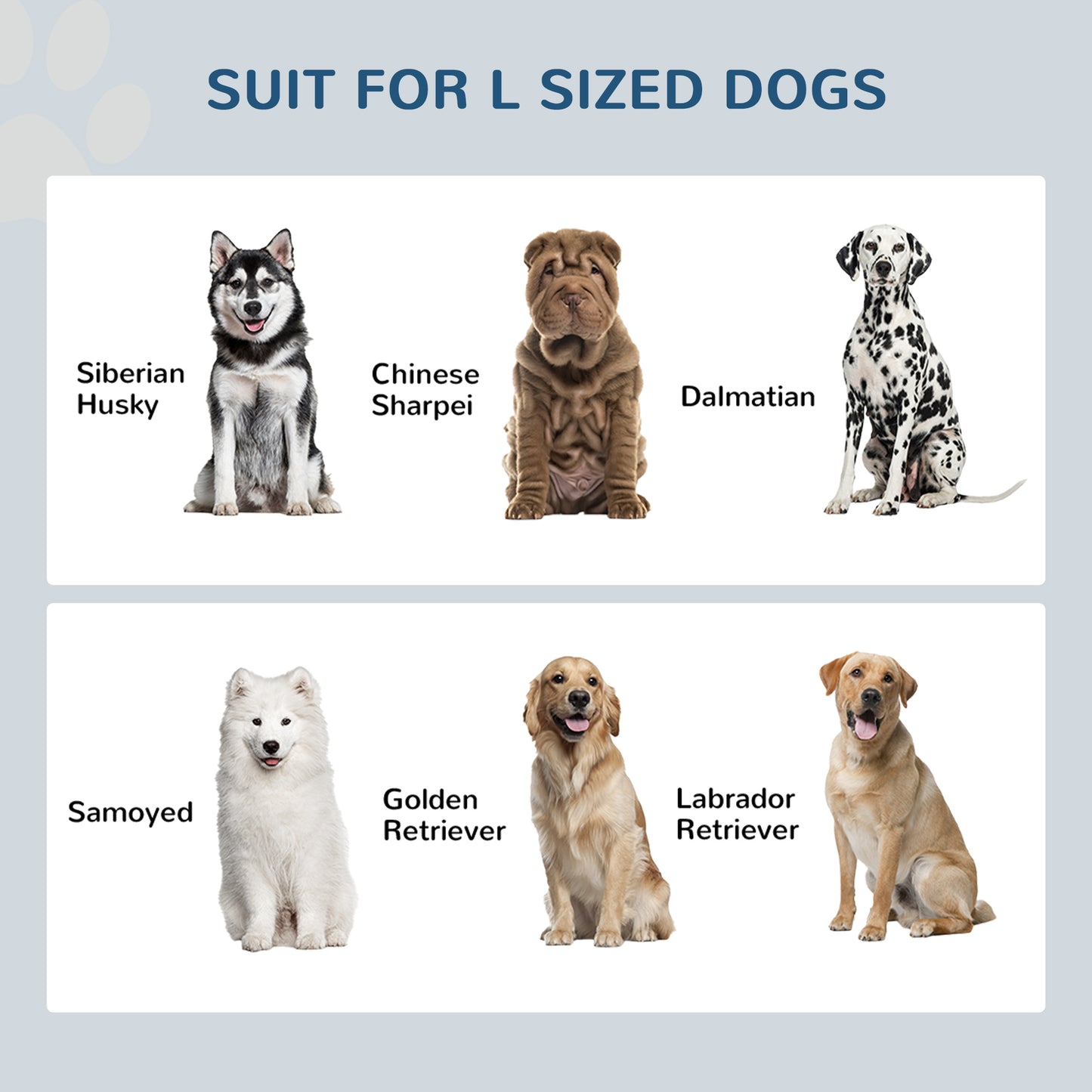 Elevated dog bowls with storage for healthier feeding and clutter-free pet spaces.