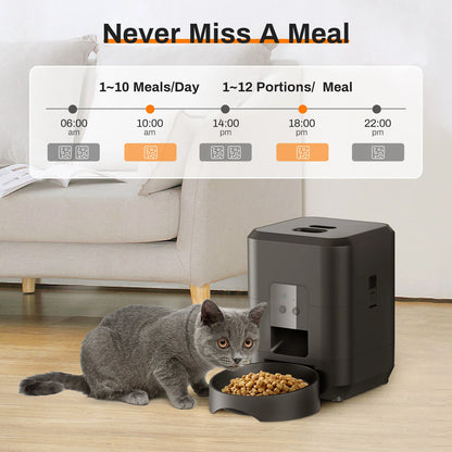 Revolutionize Your Pet's Feeding Routine with the HEYBO Smart Pet Feeder - Automatic 2L Capacity for Cats and Small Dogs