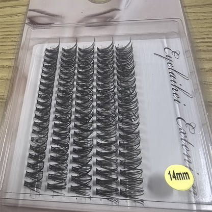 Segmented Lashes 5 Rows Of 40D Clusters Of 10