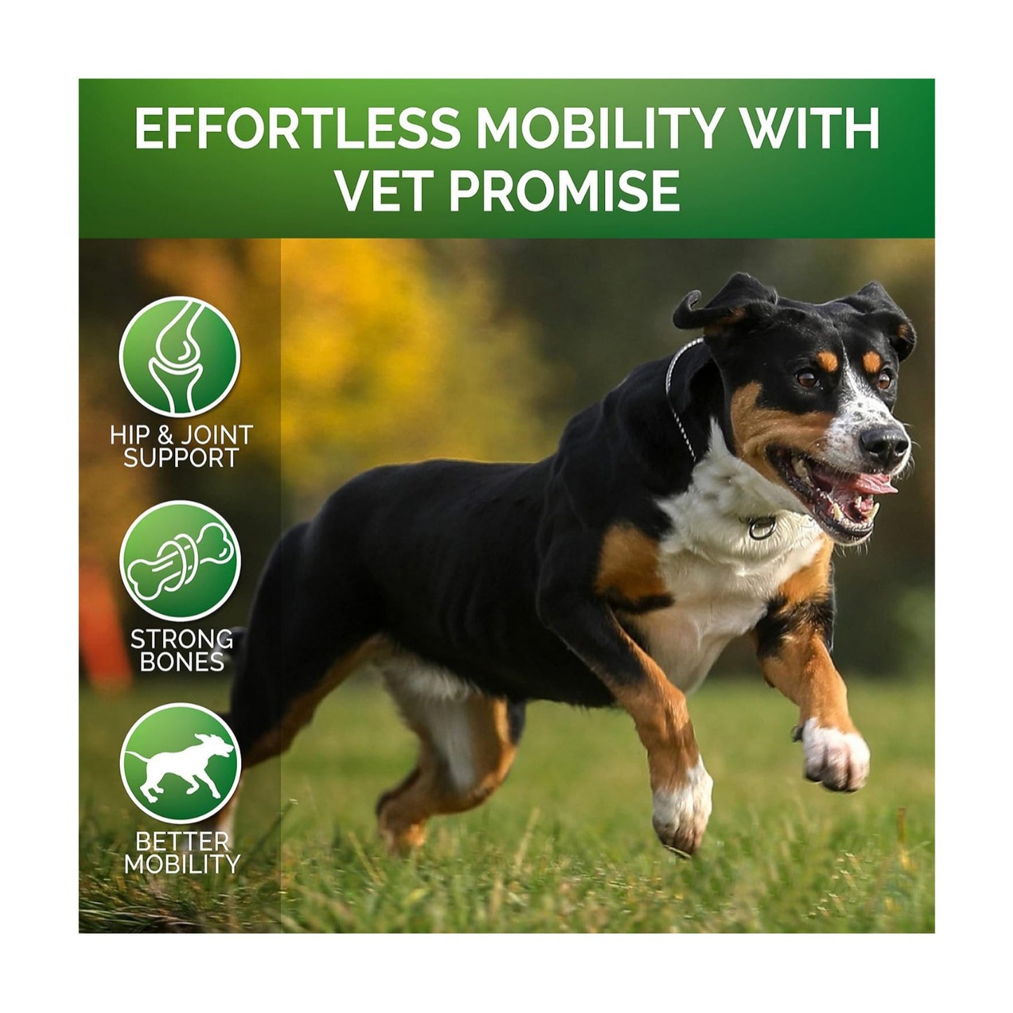 Pet Hip & Joint Supplement Chondroitin for Dogs Mobility Support