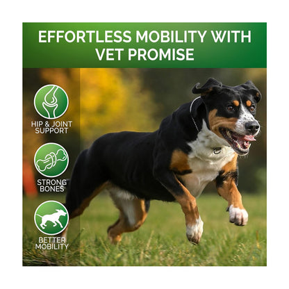 Pet Hip & Joint Supplement Chondroitin for Dogs Mobility Support
